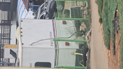 캠핑카 정박형 월임대